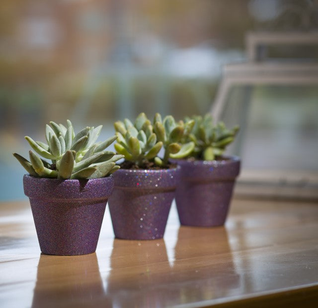 GLITTER - Pintura de Brillantina (aerosol)