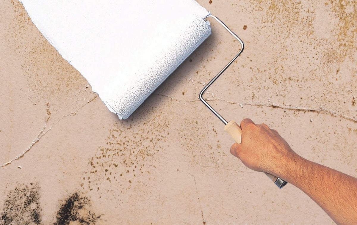 Mold Killing Primer Zinsser (fondo Eliminador Hongo Y Moho)