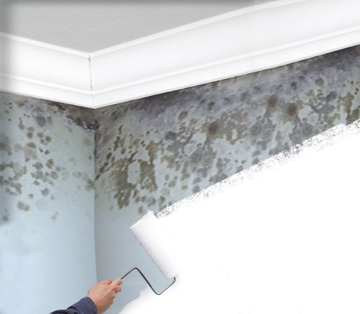 Mold Killing Primer Zinsser (fondo Eliminador Hongo Y Moho)